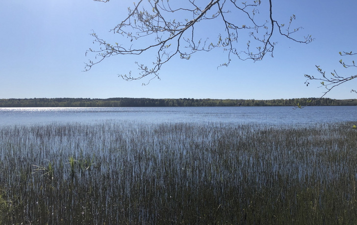 озеро Александровское