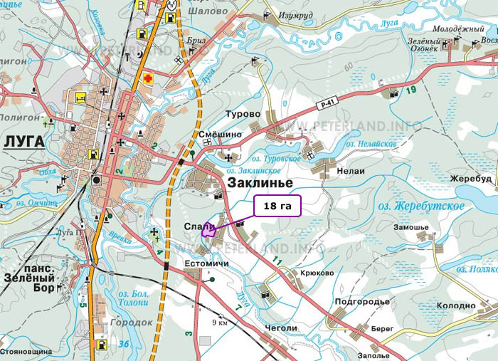 продажа земли Лужский район Слапи